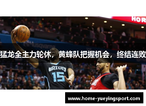 猛龙全主力轮休，黄蜂队把握机会，终结连败